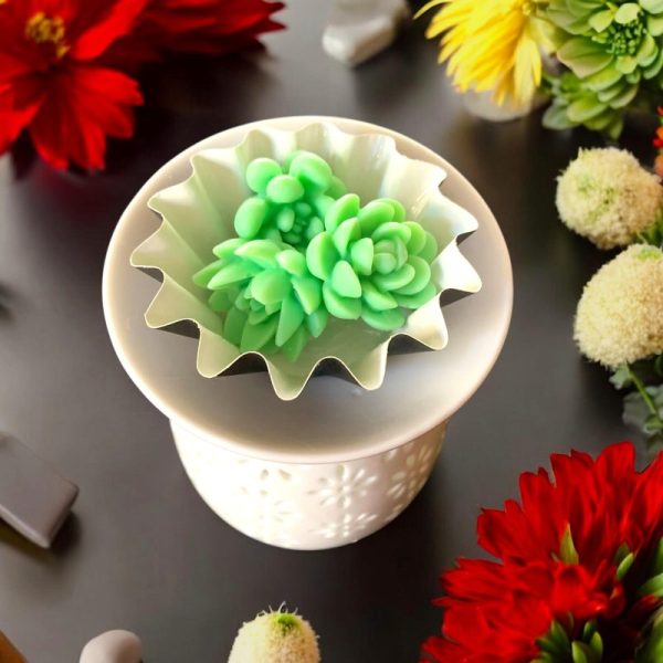 Wax Melts - Succulents