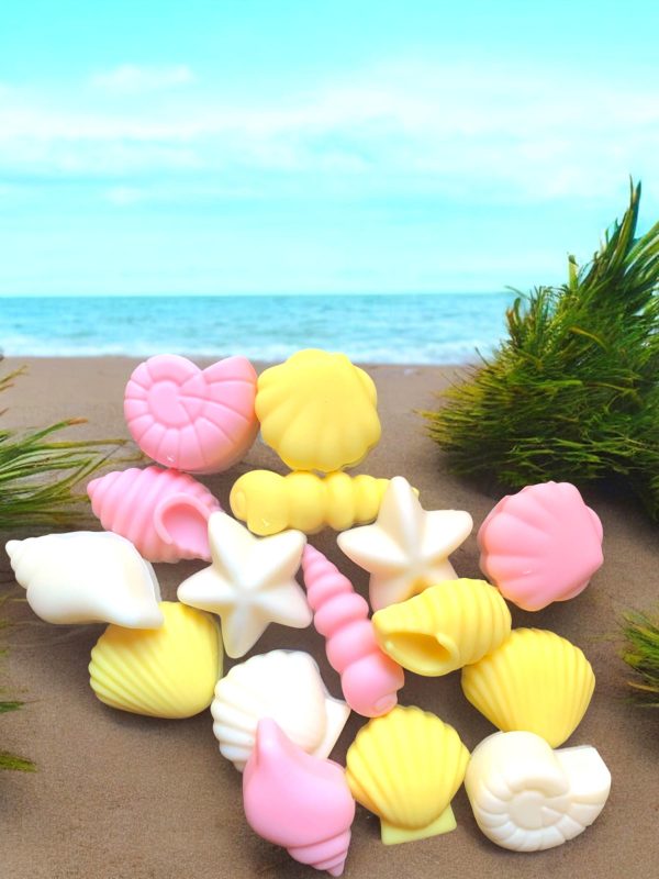 seashells