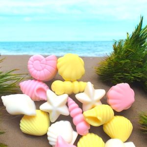 seashells