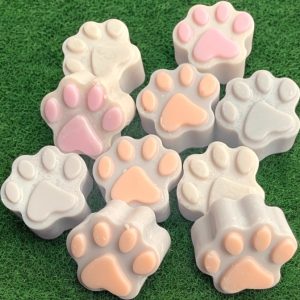 paw prints on grass