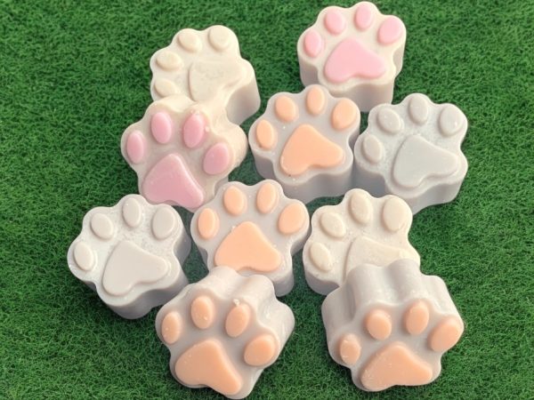 paw prints on grass