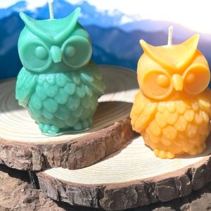 Owl Large 2