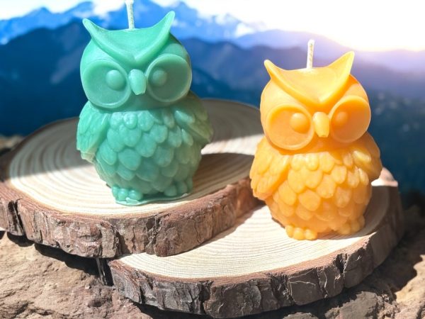 Owl Large 2